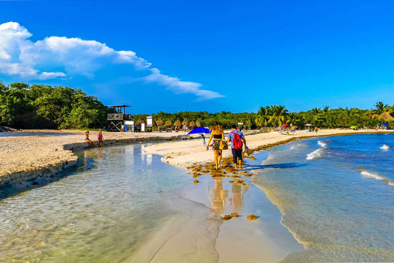 People walking along a sandy beach with clear blue skies, gentle waves, and lush greenery in the background.