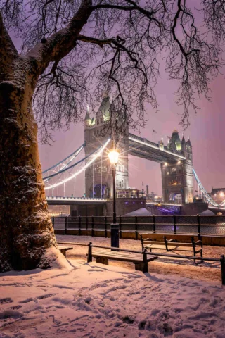 Snowy scene of Tower Bridge in London at night, featuring illuminated bridge, snow-covered tree, benches, and sidewalk.