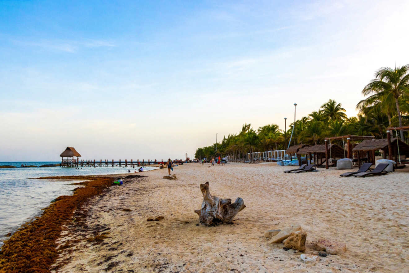 A sandy beach with seaweed, scattered lounge chairs, and a pier extending into the water. Palm trees line the shore under a clear sky.