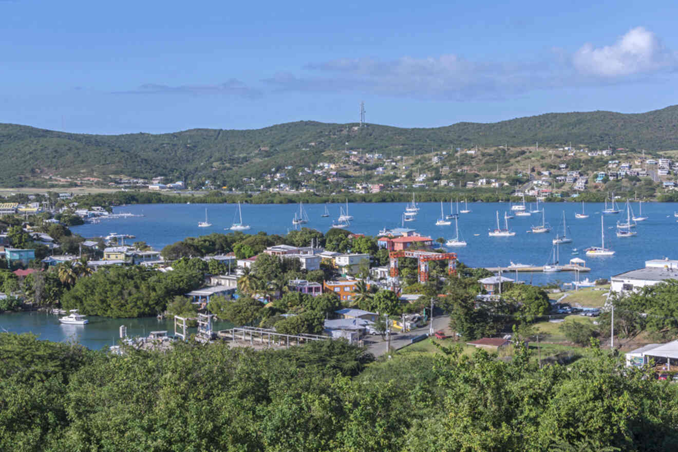 Harbor view with numerous sailboats anchored in a calm bay, surrounded by lush green hills and residential buildings under a clear blue sky.