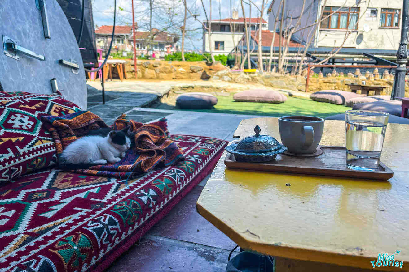 Cozy patio scene with a kitten on a patterned blanket, a table holding a cup of tea, a glass of water, and a covered dish, set against a backdrop of buildings and outdoor seating.