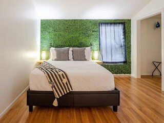 A bedroom with a bed against a green leafy accent wall, two lamps on bedside tables, wooden floor, and a window with a dark curtain.