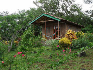 A small wooden cabin with a hammock on the porch, surrounded by lush greenery and colorful flowers.