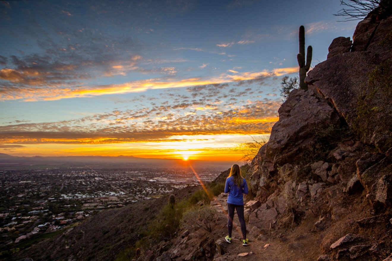 A person stands on a rocky trail overlooking a cityscape at sunset, with a tall cactus on the right.