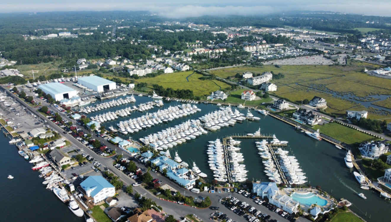 Aerial view of a marina with multiple docks filled with boats. Buildings, roads, and greenery surround the area.