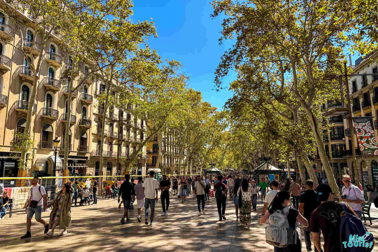 People walking along a busy, tree-lined street with historic buildings on a sunny day.