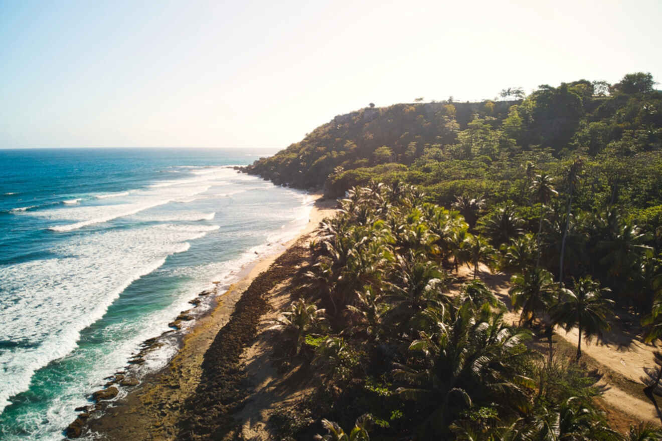 Aerial view of a tropical beach with waves, lush green palm trees, and a rocky shoreline under a clear sky.