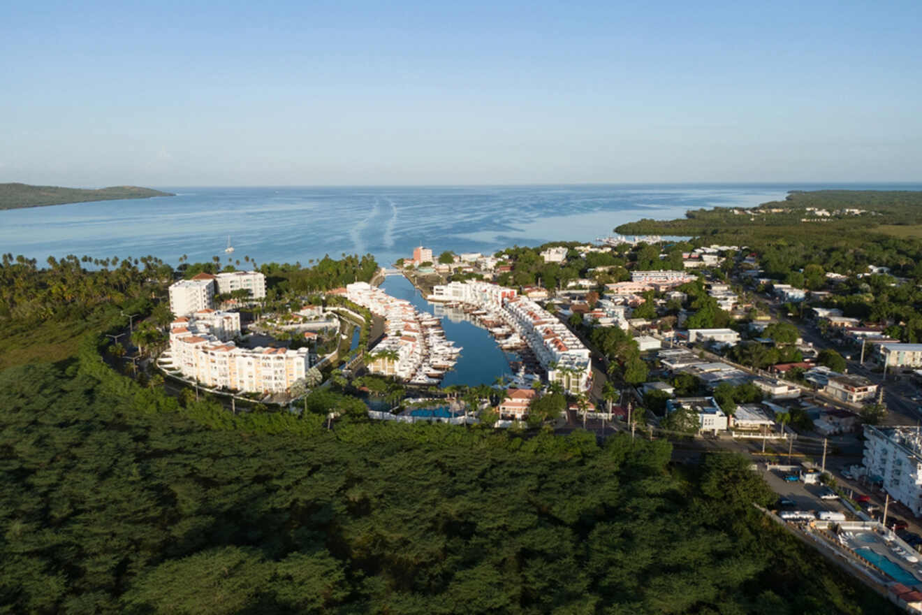 Aerial view of a coastal town with residential buildings, a marina, and lush greenery. The sea extends into the horizon under a clear blue sky.