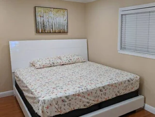 A neatly made double bed with a patterned bedsheet in a beige-painted room. A framed picture of trees hangs above, and a window with blinds is on the right.