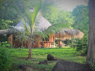 A thatched-roof hut surrounded by lush greenery, with chairs and a table on its porch.