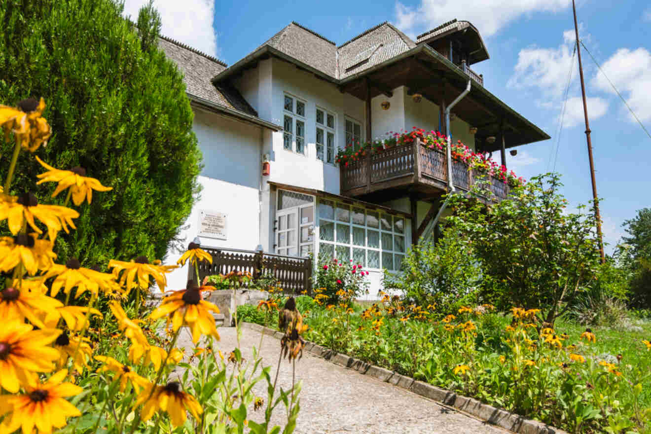 A white house with wooden accents is surrounded by a garden of yellow flowers under a blue sky.