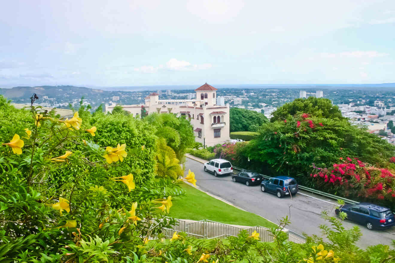 A scenic view of a hillside cityscape with yellow flowers in the foreground, a large white building, several parked cars, and a distant skyline.