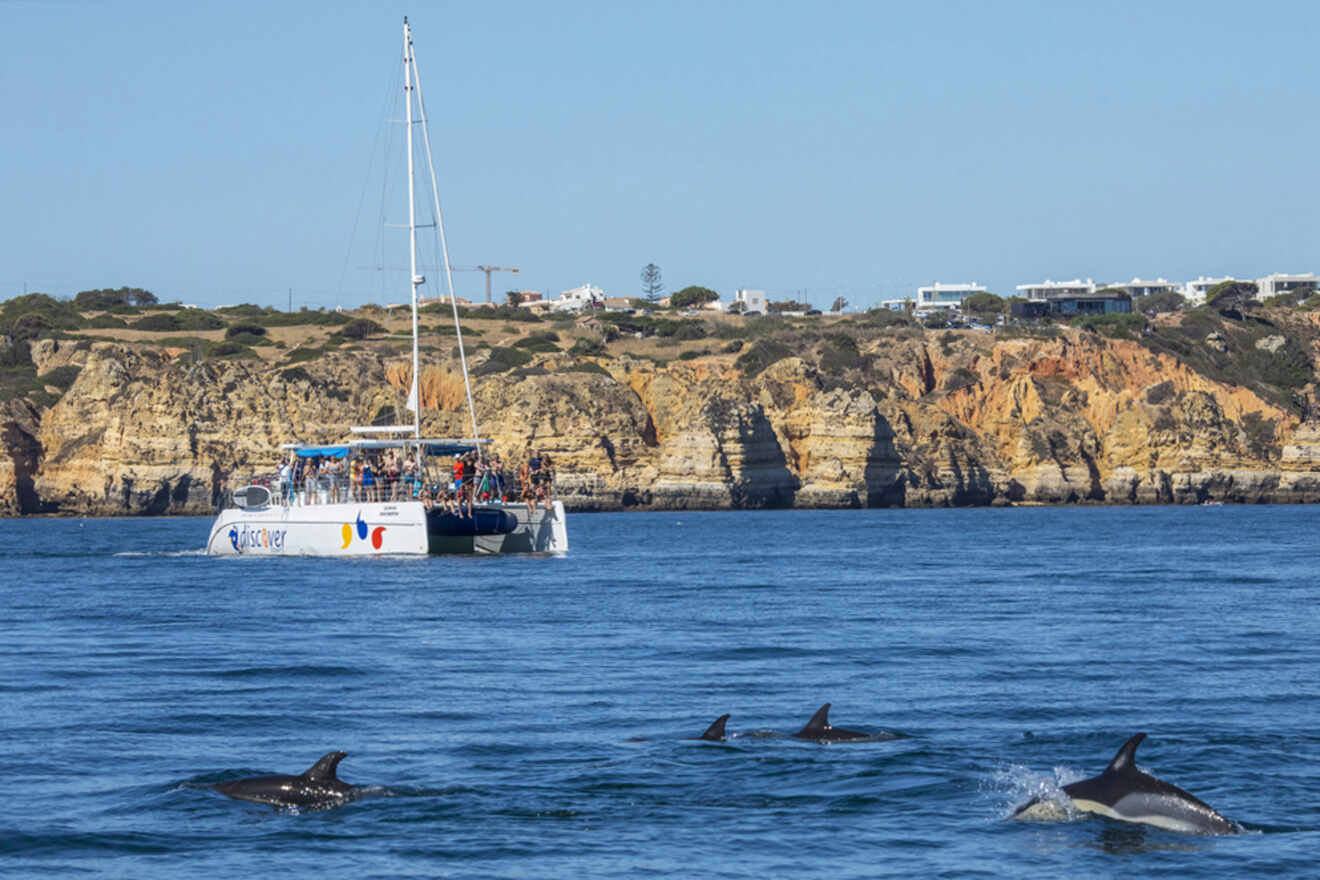 A catamaran with passengers gracefully sails near the stunning coastline of Lagos, Portugal, as a playful group of dolphins swims nearby in the crystal-clear water.