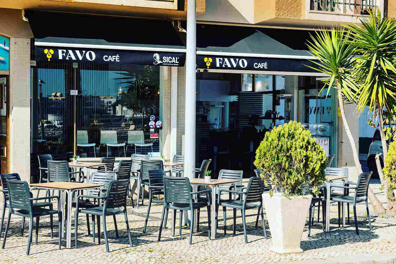 Outdoor seating area of Favo Café with empty tables and chairs, under a black awning. A potted plant is in the foreground, with palm trees nearby.