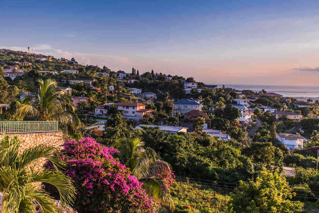 Hillside neighborhood with colorful houses, lush greenery, and flowering trees at sunset, overlooking the ocean.