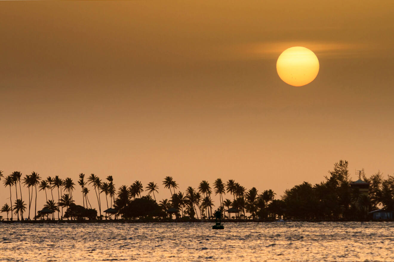 Sunset over the ocean with silhouettes of palm trees on the horizon under a golden sky.