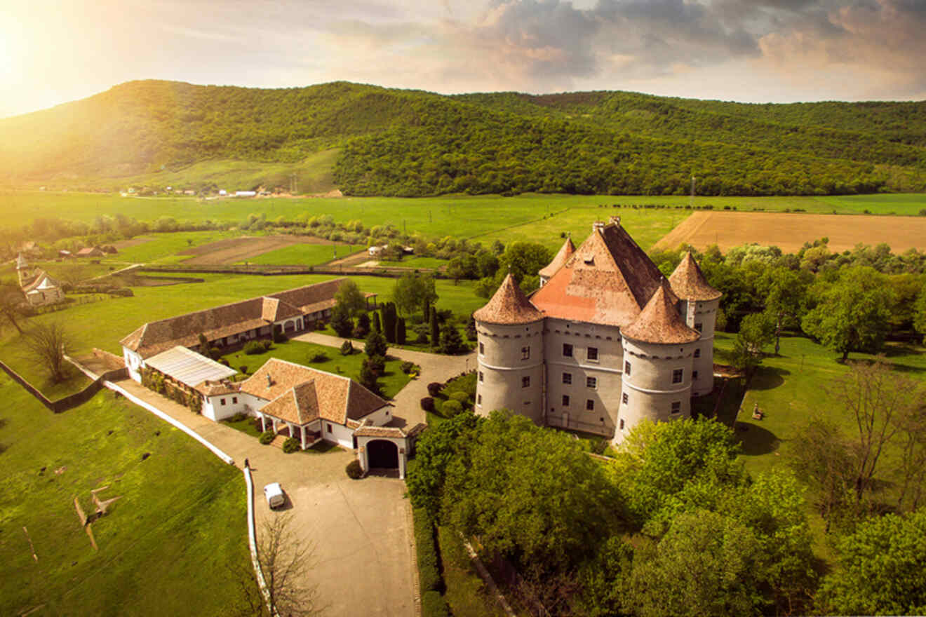 Aerial view of a historic castle surrounded by lush green fields and hills under a partly cloudy sky. Several buildings and a road are adjacent to the castle.