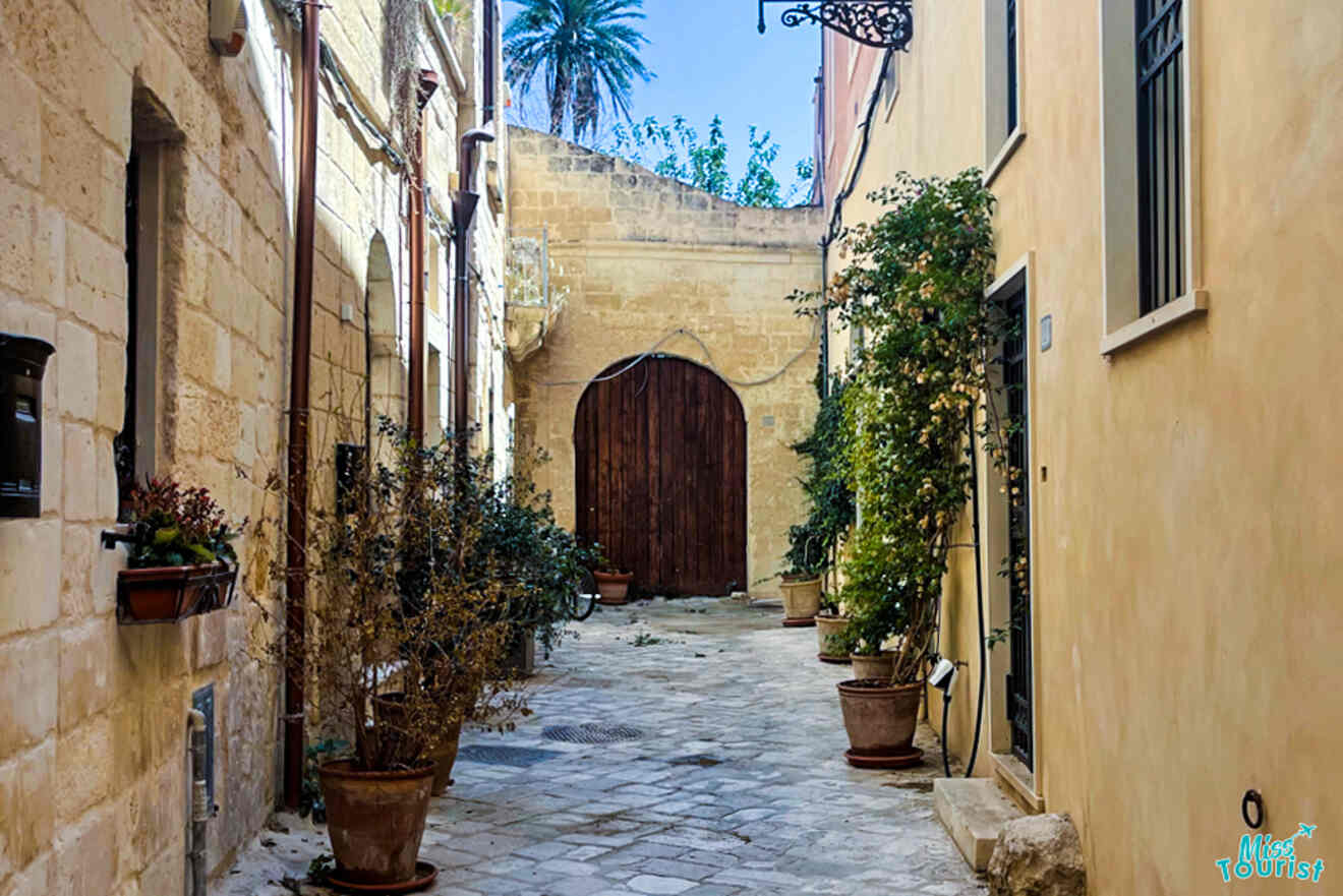 A narrow cobblestone alley lined with potted plants and beige stone buildings, leading to a large wooden gate. A palm tree and a clear blue sky are visible in the background.