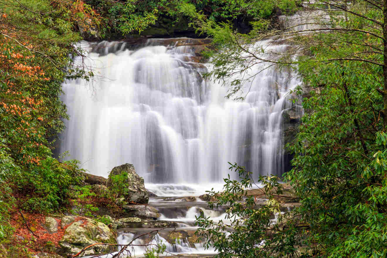 A scenic waterfall cascades over rocks surrounded by lush green foliage and a few trees with brown leaves.