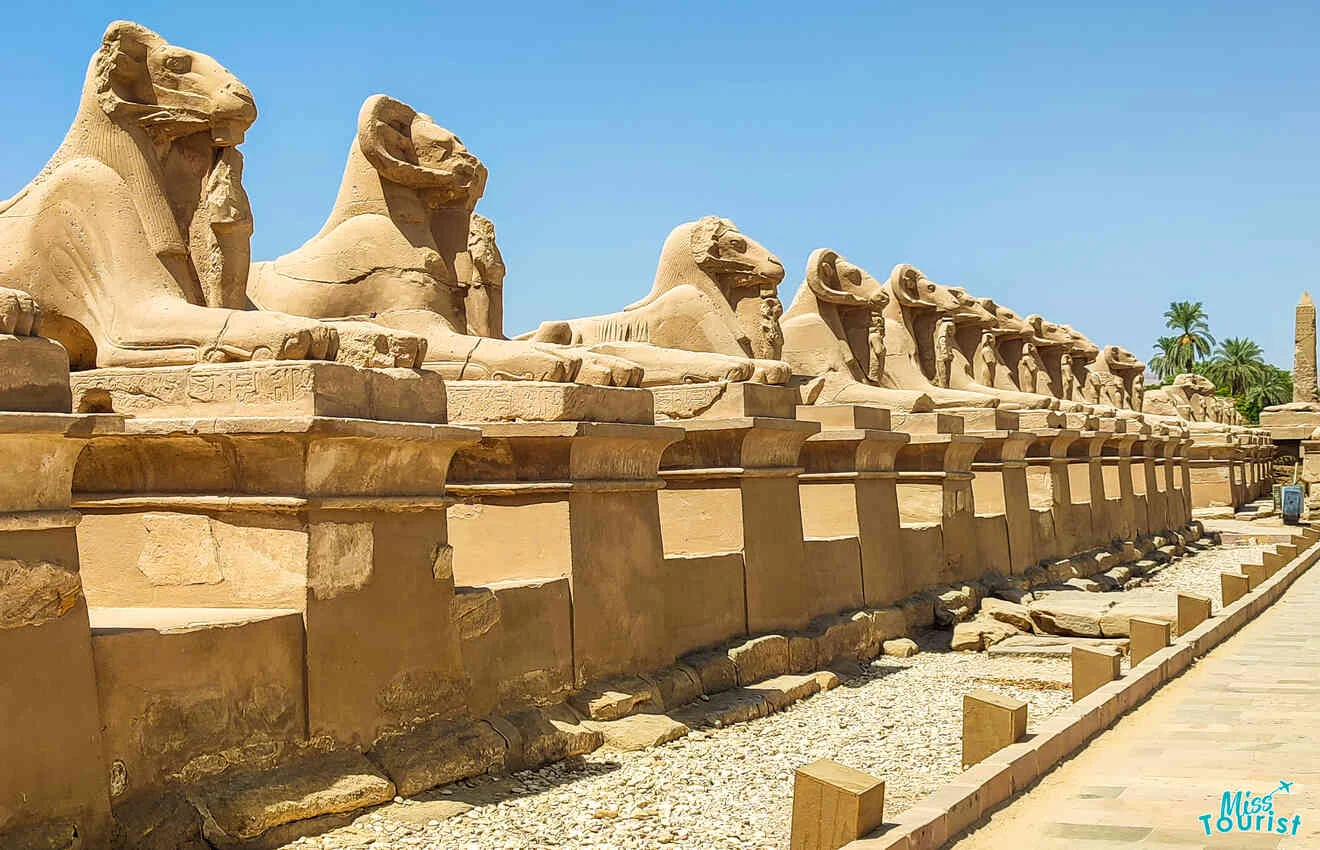 A row of stone sphinx statues lines a pathway under a clear blue sky.