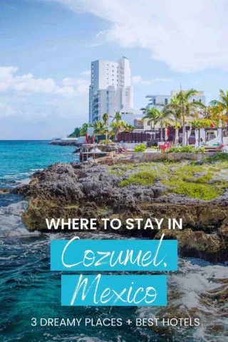 Coastal scene of Cozumel, Mexico, featuring rocky shoreline, turquoise water, palm trees, and a modern hotel building against a clear sky. Text overlay: 