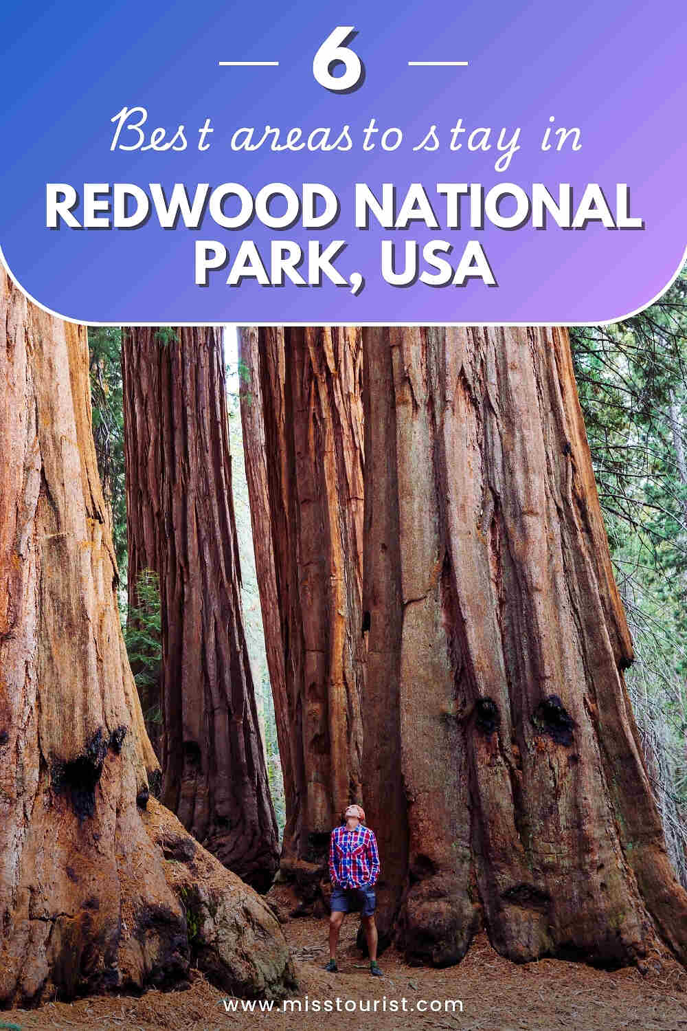 Person standing among giant redwood trees with a text overlay reading 