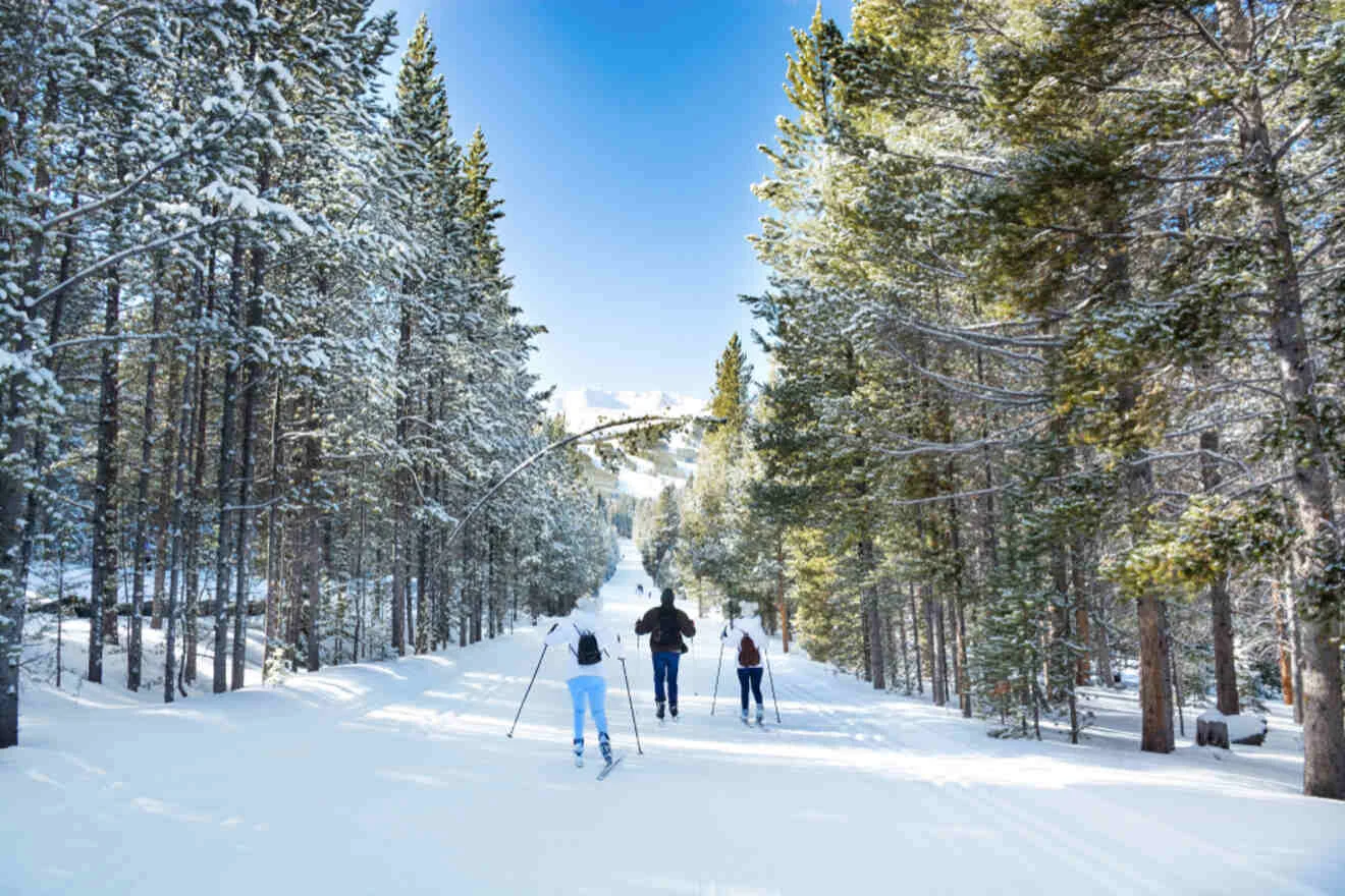 Three people cross-country skiing on a snowy trail surrounded by trees under a clear blue sky.