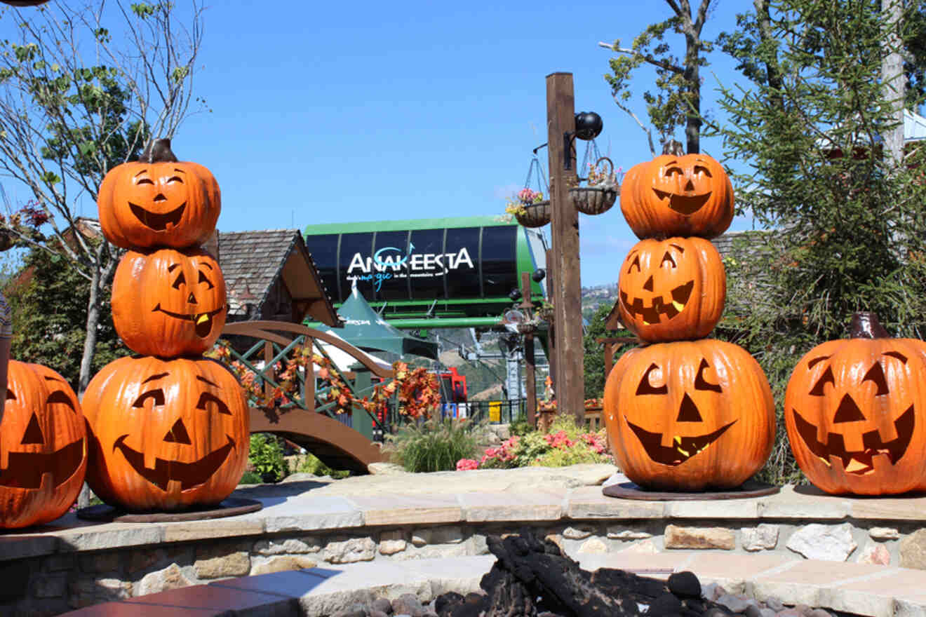 Stacks of carved pumpkins with smiling faces are displayed outdoors near a sign for Anakeesta, surrounded by flowers and greenery.