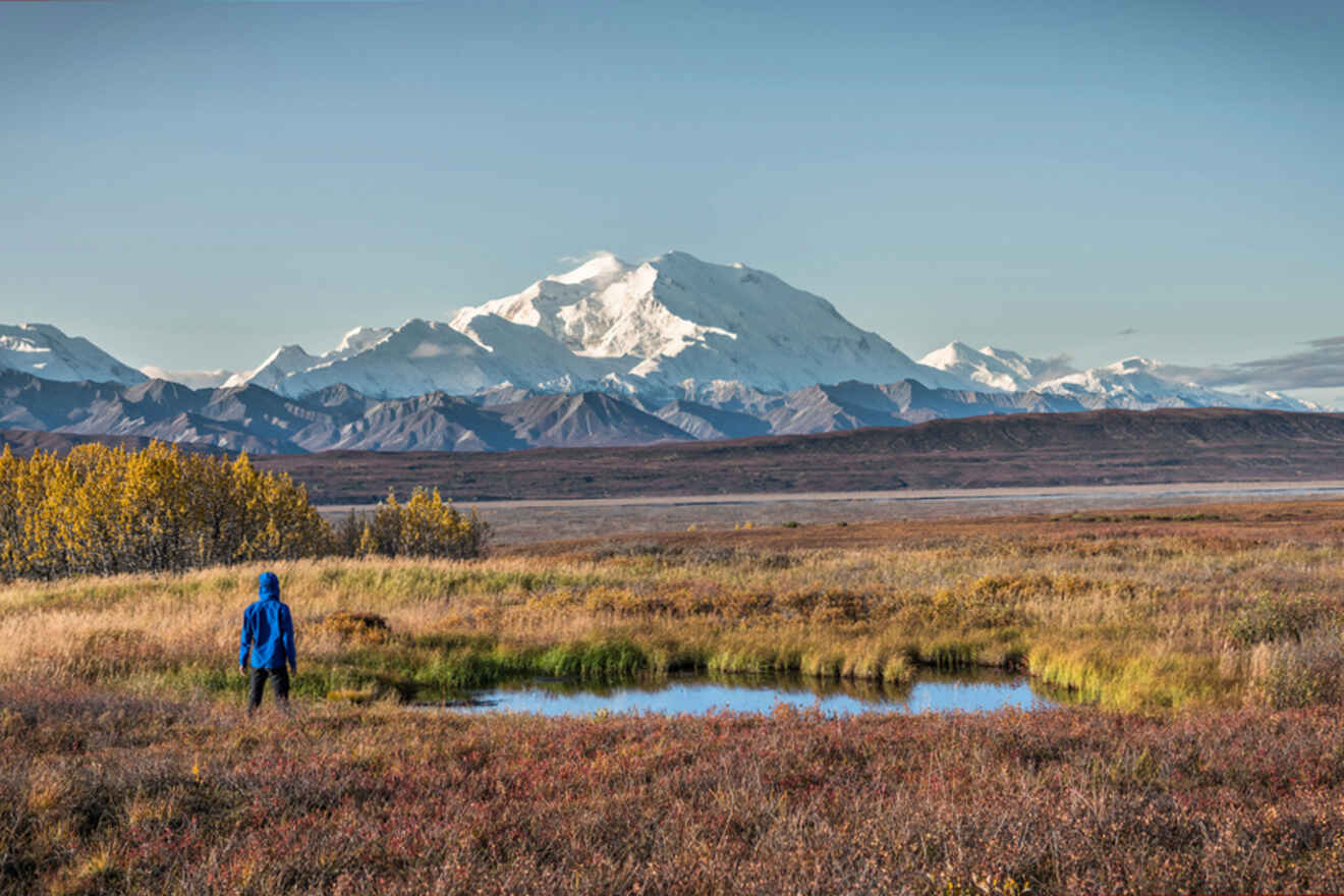 Person in a blue jacket stands near a small pond in a grassy field, with snow-capped mountains in the background under a clear sky.