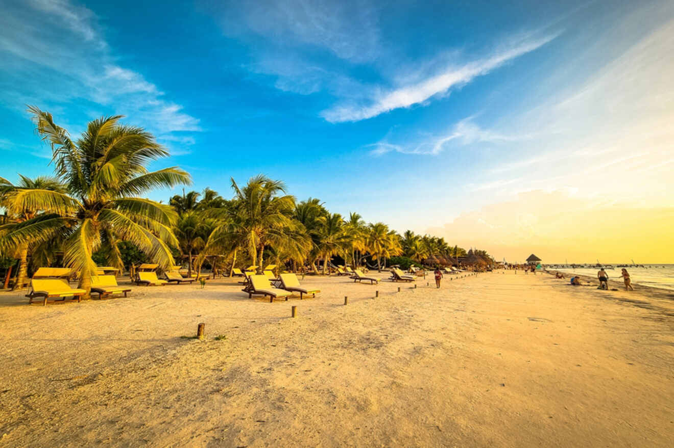 A sandy beach with palm trees and multiple lounge chairs under a clear blue sky during sunset. A few people are walking by the water's edge.