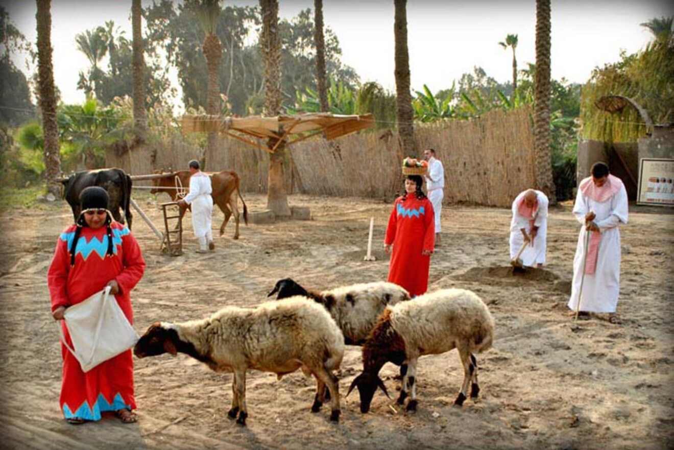 People in traditional clothing engage in activities with animals, including sheep and a cow, in a rural setting with palm trees and wooden structures.