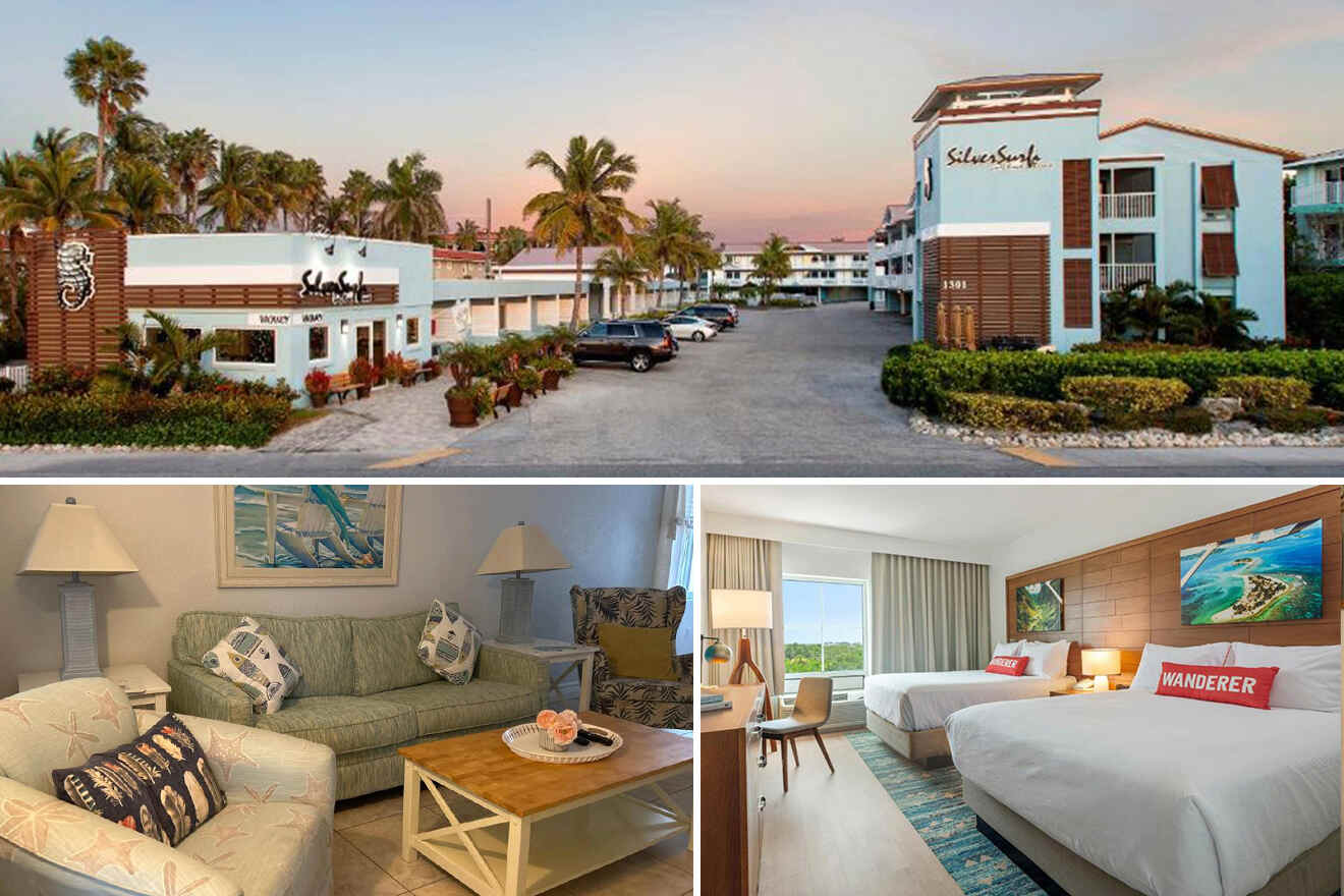 Exterior and interior views of Shelborne Hotel. The exterior shows a tropical landscape; the interior features a living area and a double-bed room with a beach-themed decor.