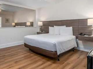 A hotel room with a large bed, two bedside tables with lamps, and wood flooring. Light walls create a bright, modern atmosphere.