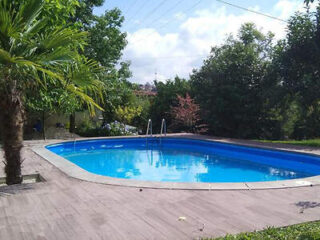 A rectangular swimming pool surrounded by trees and a wooden deck on a sunny day.