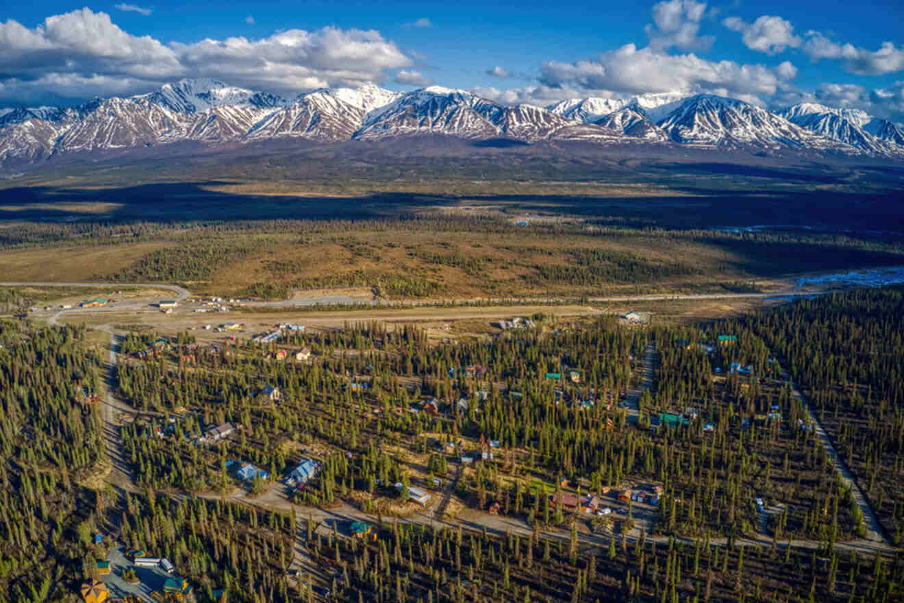 Aerial view of a forested town with scattered houses. Snow-capped mountains are visible in the background under a partly cloudy sky.