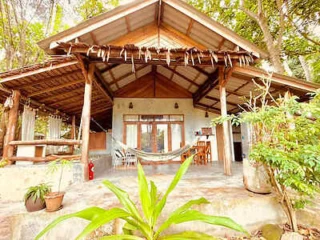 A rustic cabin with a thatched roof, large windows, and a hammock on the porch, surrounded by trees and plants.
