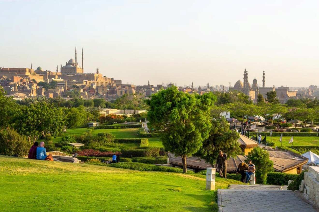 A scenic view of a park with lush green lawns and trees, overlooking historic buildings and mosques in the background under a clear sky in Al-Azhar Park in Cairo