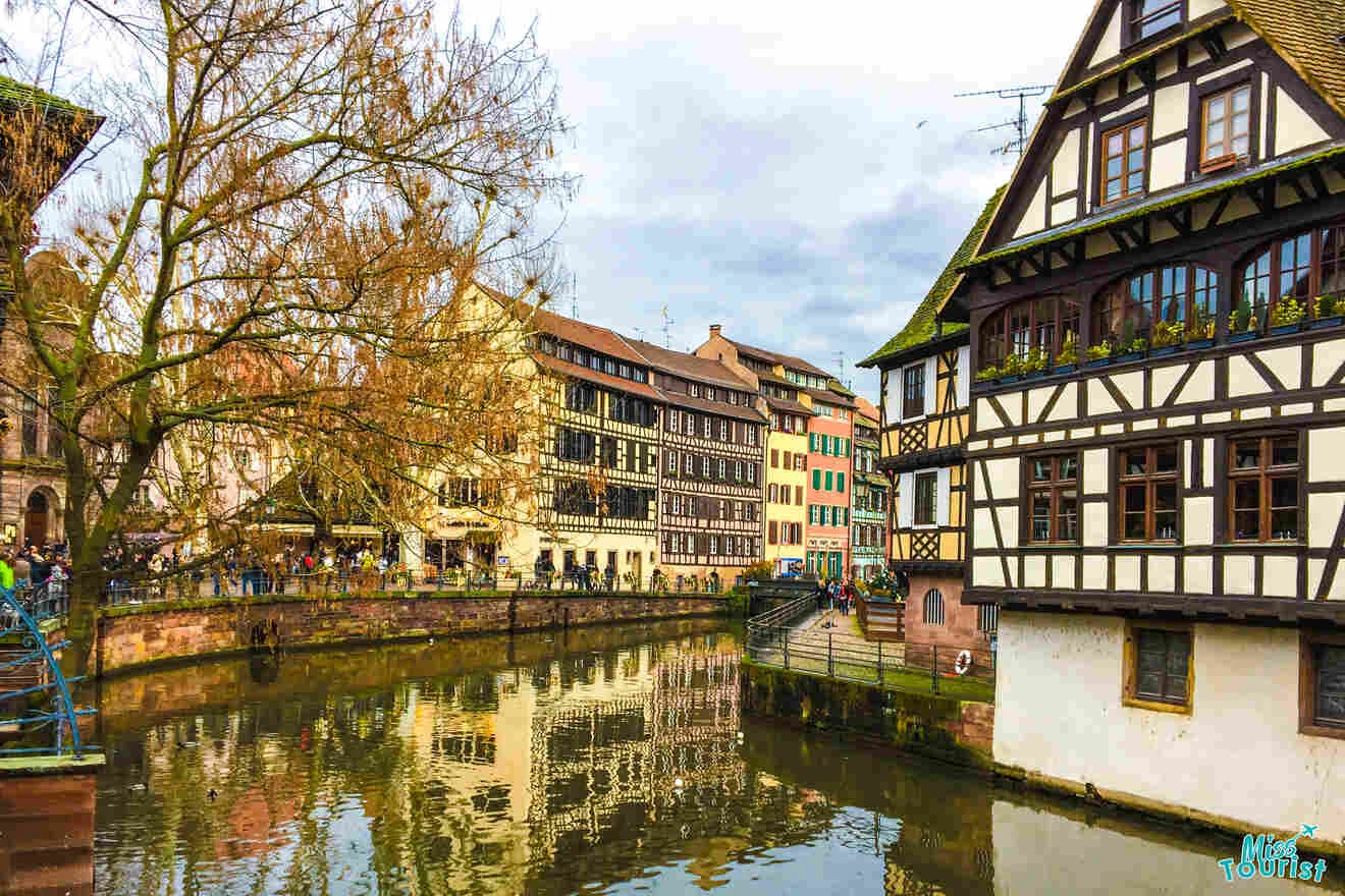 A serene canal scene with half-timbered houses and a bare tree in a quaint European town.