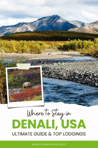 A scenic mountain landscape with a stream and vegetation. A bear is pictured in an inset photo overlaid on the scene. Text reads "Where to Stay in Denali, USA: Ultimate Guide & Top Lodgings.